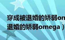 穿成被退婚的娇弱omega讲了什么（穿成被退婚的娇弱omega）