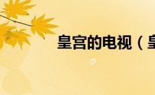 皇宫的电视（皇宫这档事儿）