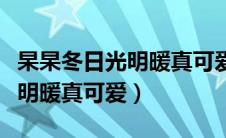 杲杲冬日光明暖真可爱全诗翻译（杲杲冬日光明暖真可爱）