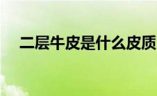 二层牛皮是什么皮质（二层牛皮的概念）