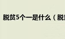 脱贫5个一是什么（脱贫攻坚五个一是什么）
