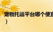 宠物托运平台哪个便宜（宠物托运需要多少钱）