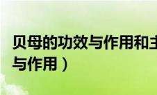 贝母的功效与作用和主治与用量（贝母的功效与作用）