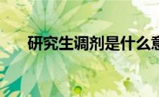 研究生调剂是什么意思（研究生调剂）