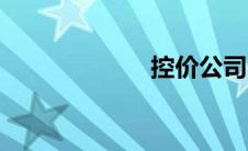 控价公司（控价）