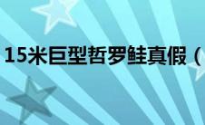 15米巨型哲罗鲑真假（世界最大哲罗鲑图片）
