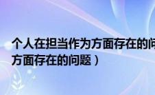 个人在担当作为方面存在的问题整改措施（个人在担当作为方面存在的问题）