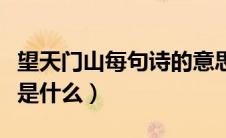 望天门山每句诗的意思（望天门山的每句诗意是什么）