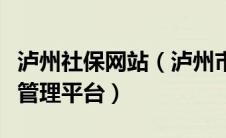 泸州社保网站（泸州市社会保险统一征收信息管理平台）
