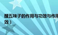 醋五味子的作用与功效与作用是什么（醋五味子的作用与功效）