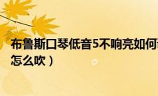 布鲁斯口琴低音5不响亮如何调节（布鲁斯口琴音阶图低音6怎么吹）