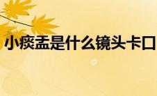 小痰盂是什么镜头卡口（小痰盂是什么镜头）