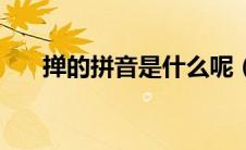 掸的拼音是什么呢（掸的读音是什么）