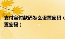 支付宝付款码怎么设置密码 小额免密（支付宝付款码怎么设置密码）