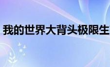 我的世界大背头极限生存（我的世界大背头）