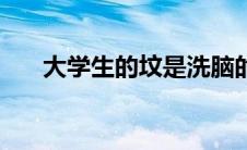 大学生的坟是洗脑的吗（大学生的坟）