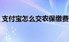 支付宝怎么交农保缴费（支付宝怎么交农保）