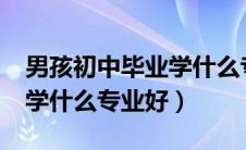 男孩初中毕业学什么专业好?（男孩初中毕业学什么专业好）