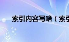 索引内容写啥（索引情况是什么意思）