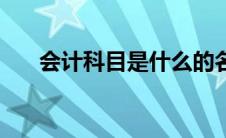 会计科目是什么的名称（会计科目是）