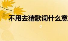 不用去猜歌词什么意思（不用去猜歌词）