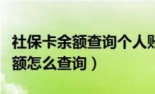 社保卡余额查询个人账户余额查询（社保卡余额怎么查询）