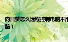 向日葵怎么远程控制电脑不用授权（向日葵怎么远程控制电脑）