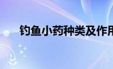 钓鱼小药种类及作用（钓鱼小药大全）