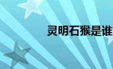 灵明石猴是谁（灵明石猴）