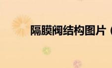 隔膜阀结构图片（隔膜阀结构图）