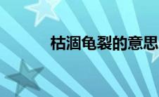 枯涸龟裂的意思（龟裂的意思）