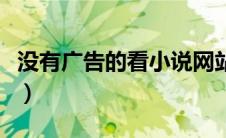 没有广告的看小说网站（没有广告的小说网站）