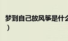 梦到自己放风筝是什么意思（风筝是什么意思）