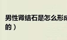 男性肾结石是怎么形成的（肾结石是怎么形成的）