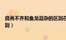 良莠不齐和鱼龙混杂的区别在哪（良莠不齐和鱼龙混杂的区别）