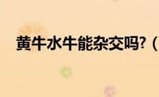 黄牛水牛能杂交吗?（黄牛能给水牛配种）