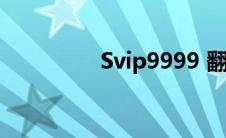 Svip9999 翻译（svip9）