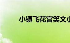 小镇飞花宫笑文小禾（小镇飞花）