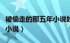 被偷走的那五年小说好看吗（被偷走的那五年小说）