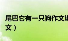 尾巴它有一只狗作文堤刚（尾巴它有一只狗作文）