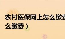 农村医保网上怎么缴费步骤（农村医保网上怎么缴费）