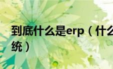 到底什么是erp（什么是ERP和什么是ERP系统）