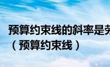 预算约束线的斜率是劳动收入与劳动时间之比（预算约束线）