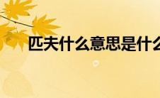 匹夫什么意思是什么（匹夫什么意思）