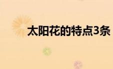 太阳花的特点3条（太阳花的特点）