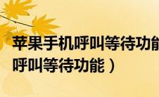 苹果手机呼叫等待功能在哪里设置（苹果手机呼叫等待功能）