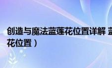 创造与魔法蓝莲花位置详解 蓝莲花在哪里（创造与魔法蓝莲花位置）