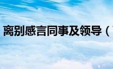 离别感言同事及领导（离职感言写给同事的）