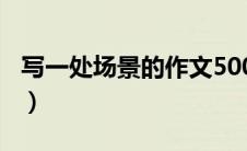 写一处场景的作文500字（写一处场景的作文）