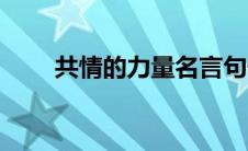 共情的力量名言句子（共情的力量）